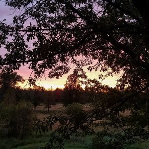 Meet your Posher, Amie